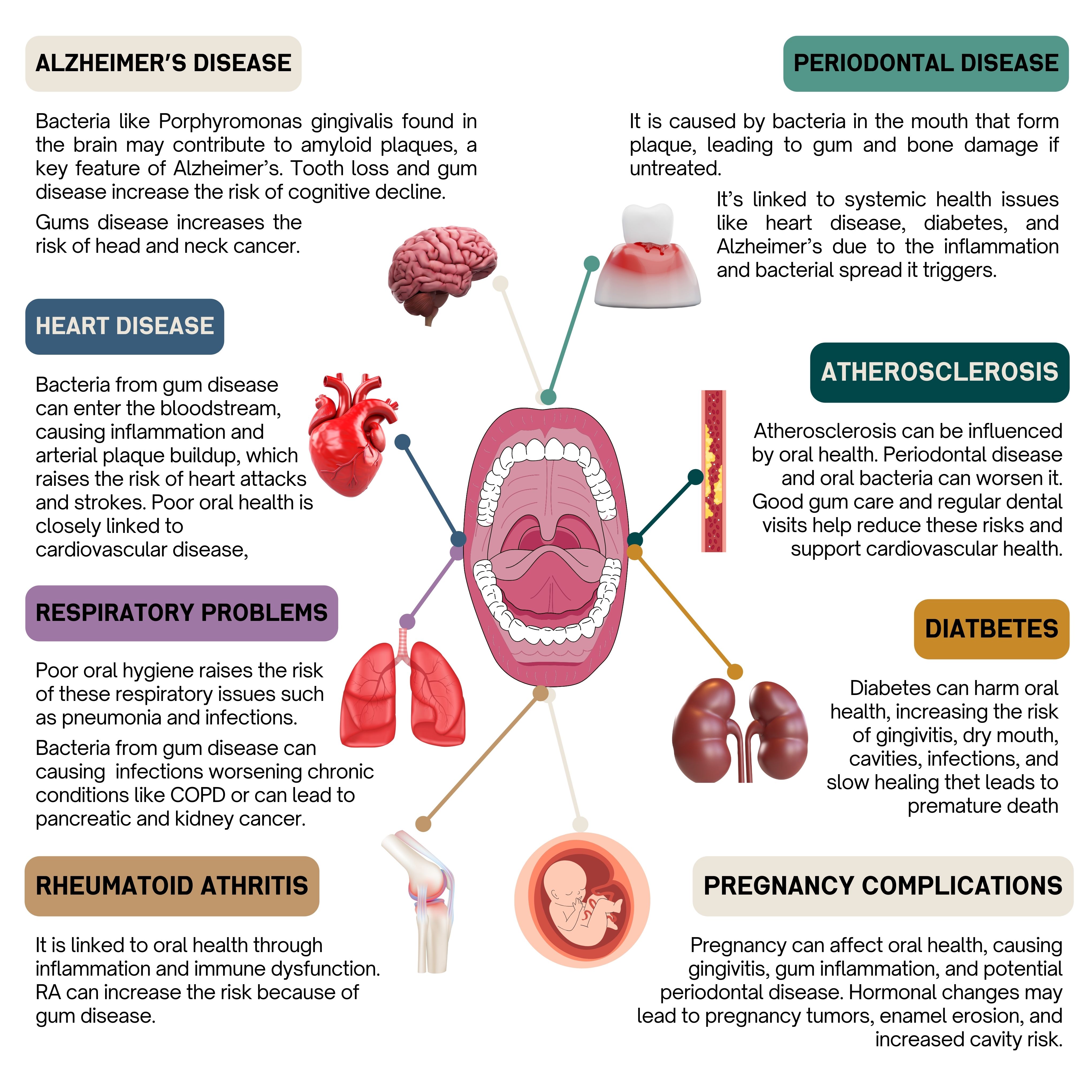 Oral-Systemic Health Connections infographic for Holistic Dental Hygiene Clinic