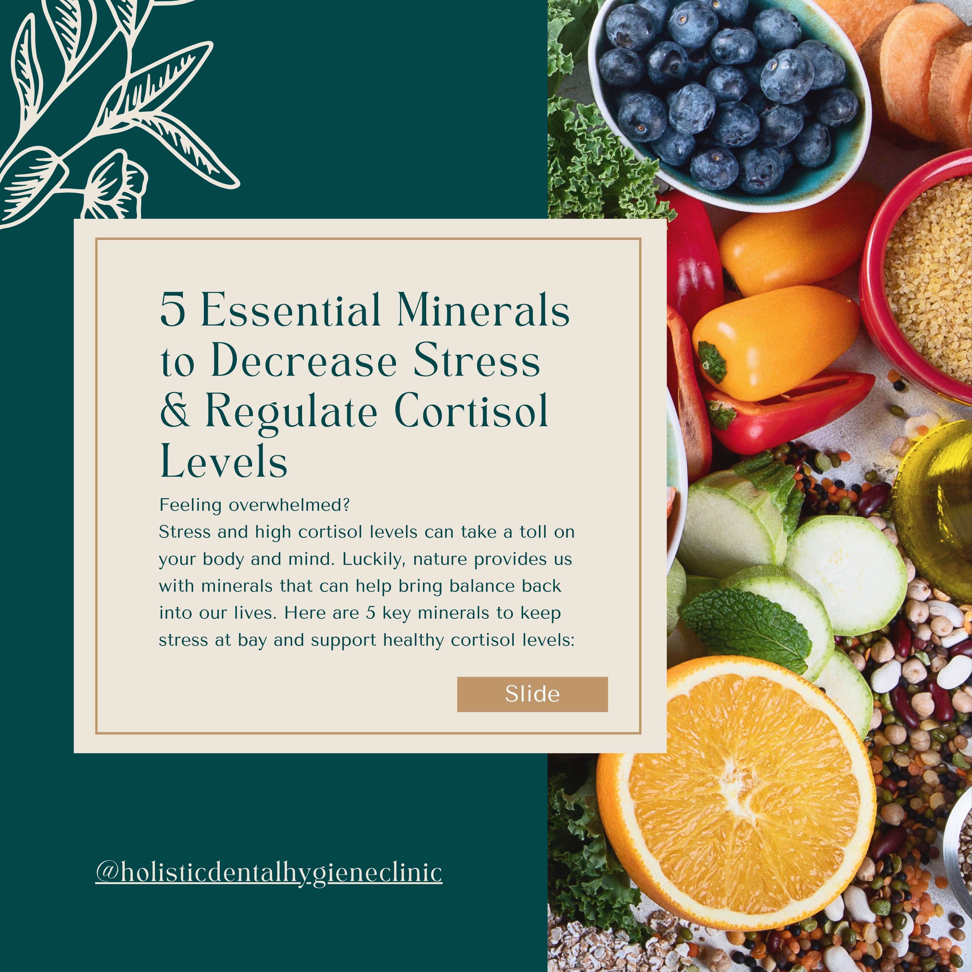 5 Essential Minerals to Decrease Stress carousel intro for Holistic Dental Hygiene Clinic