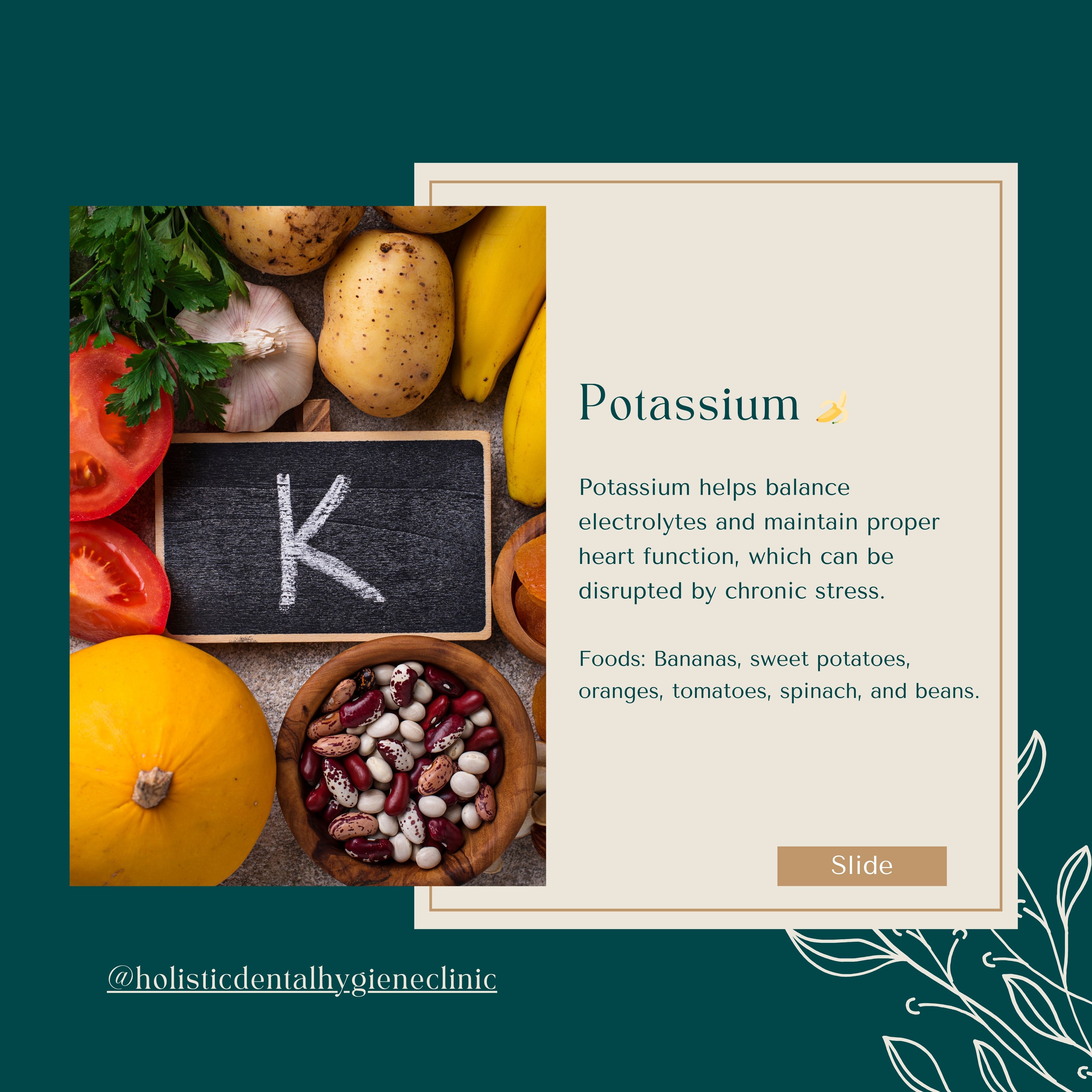 Potassium stress mineral carousel slide for Holistic Dental Hygiene Clinic