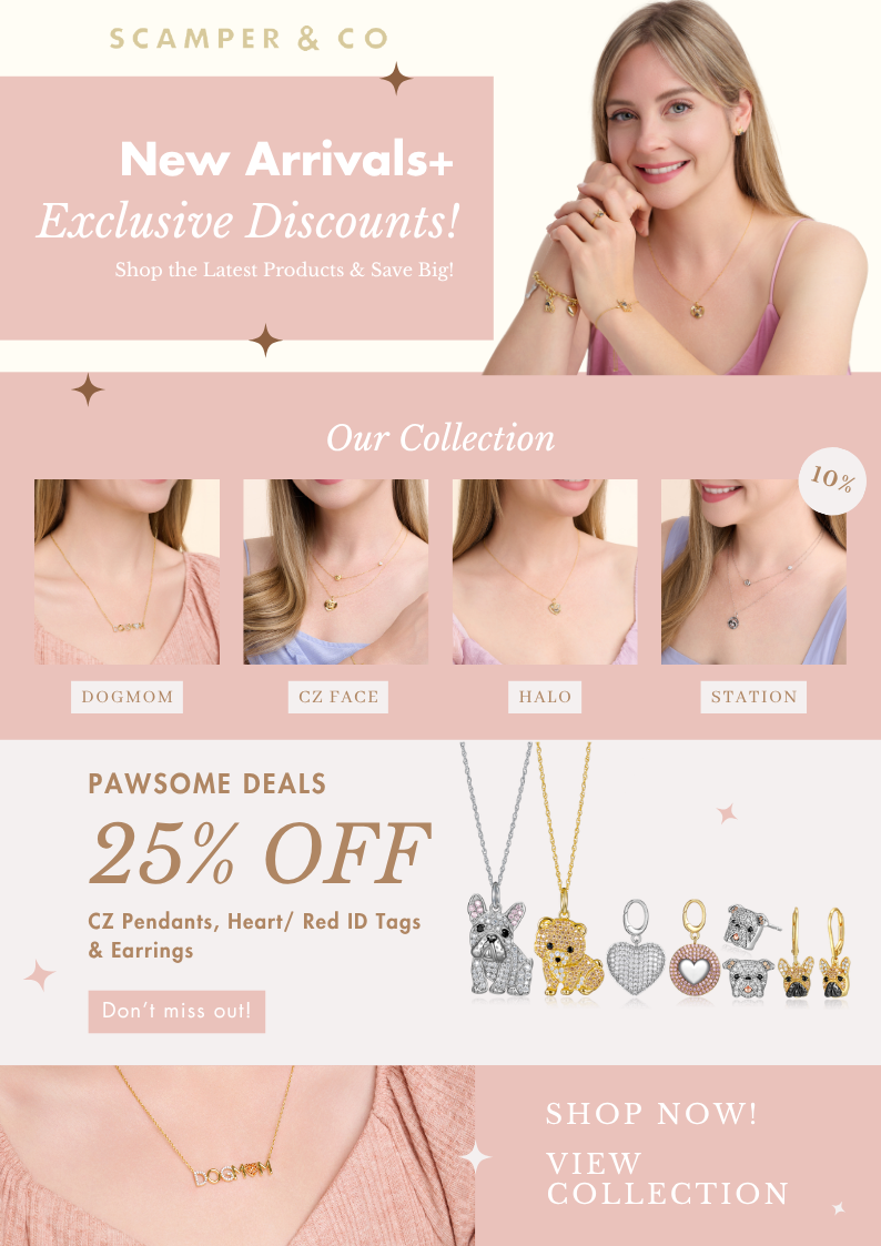 New Arrivals and Exclusive Discounts homepage layout graphic for Scamper and Co